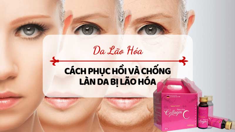 collagen C Nature
