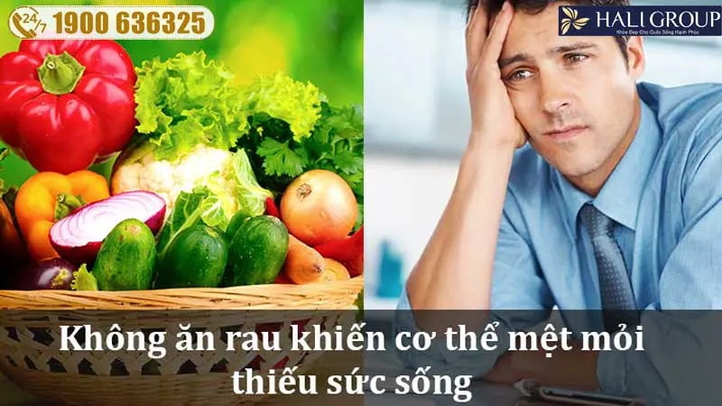 2.1 CHUYỆN GÌ XẢY RA NẾU BẠN KHÔNG ĂN RAU?