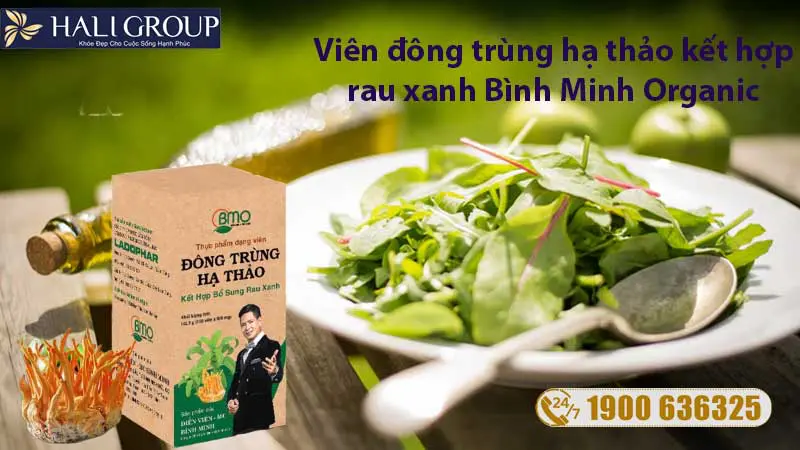 2. PHƯƠNG ÁN CHO NGƯỜI LƯỜI ĂN RAU