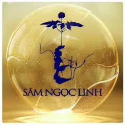 Sâm Ngọc Linh