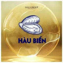 Tinh Chất Hàu
