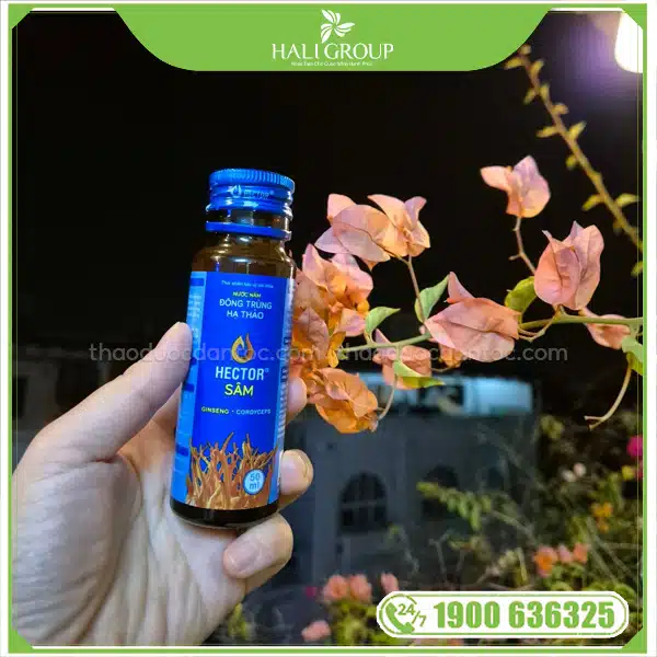 Nước Uống Đông Trùng Hạ Thảo Hector Sâm - Ảnh 2