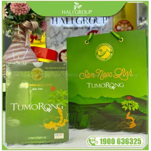 Trà Sâm Ngọc Linh Hòa Tan TuMơRông Kontum - Hình ảnh 4