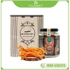 Đông Trùng Hạ Thảo Khô Kim Cương Vàng (Hộp 10g)