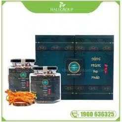 Đông Trùng Hạ Thảo Thượng Phẩm Kim Cương Vàng (Hộp 30g)