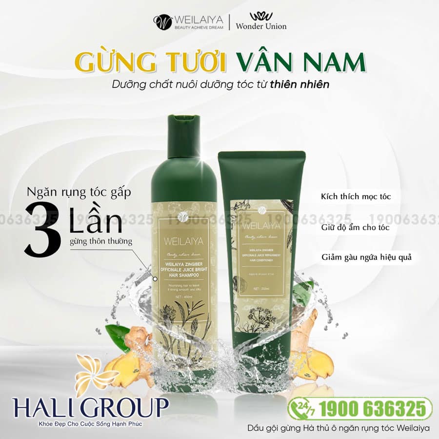 Bộ Dầu Gội Xả Gừng Hà Thủ Ô Weilaiya