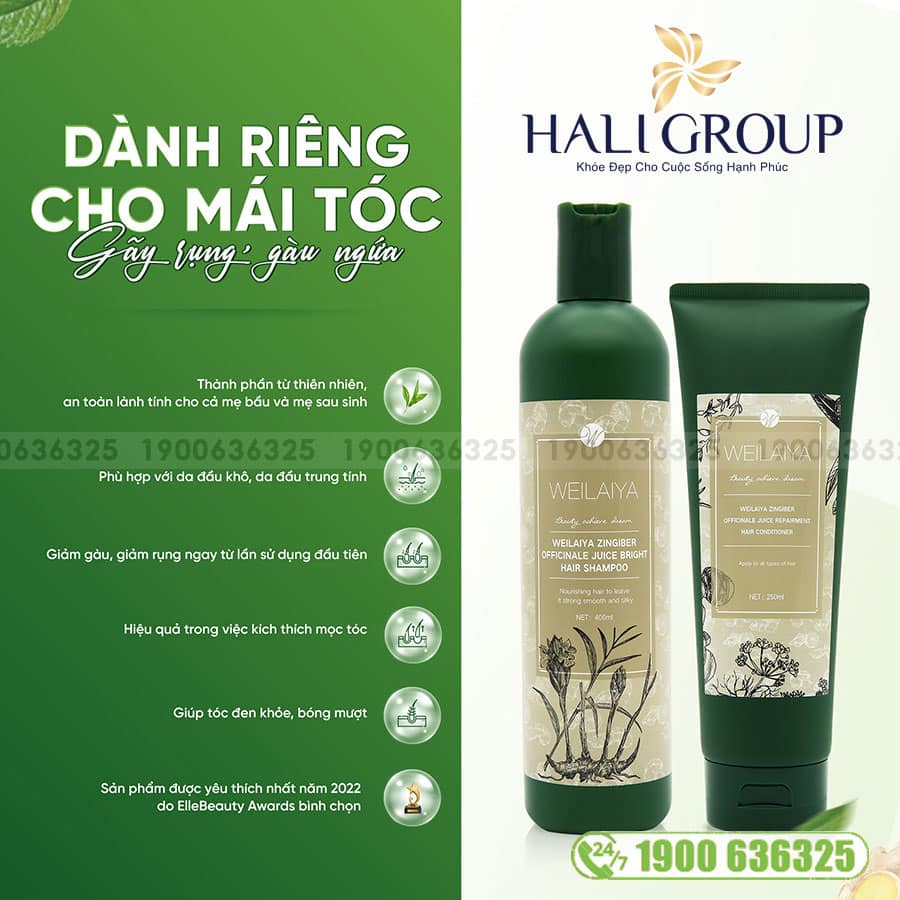 Bộ Dầu Gội Xả Gừng Hà Thủ Ô Weilaiya