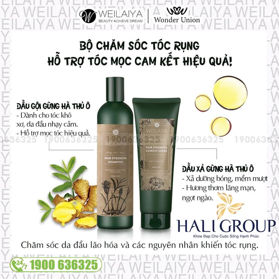 Bộ Dầu Gội Xả Gừng Hà Thủ Ô Weilaiya