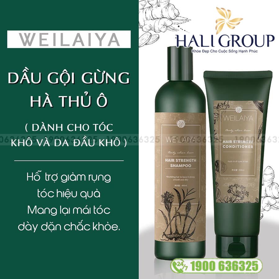 Bộ Dầu Gội Xả Gừng Hà Thủ Ô Weilaiya