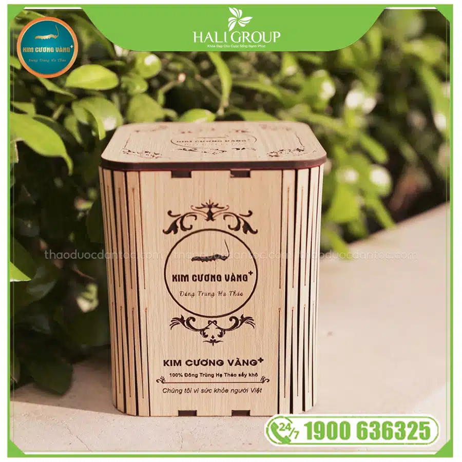 thành phần Đông Trùng Hạ Thảo Khô Kim Cương Vàng (Hộp 10g)