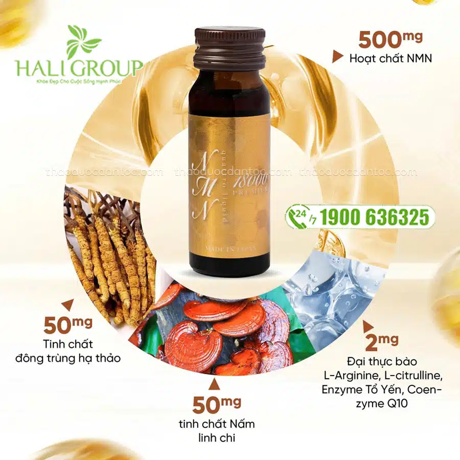 thành phần nmn 18000 premium quattro liquid