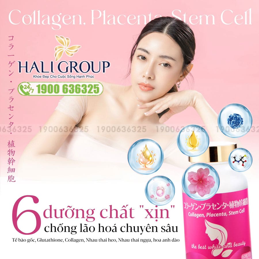 Viên uống Collagen, Placenta, Stem Cell Jpanwell