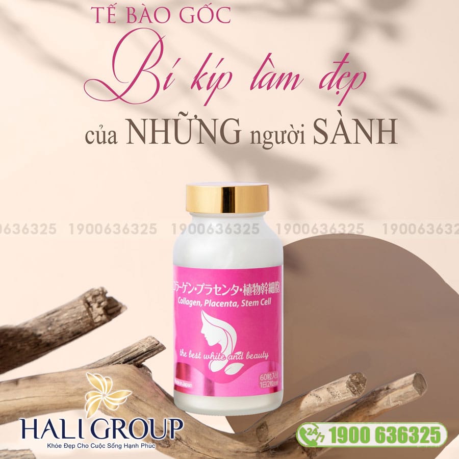 Viên uống Collagen, Placenta, Stem Cell Jpanwell