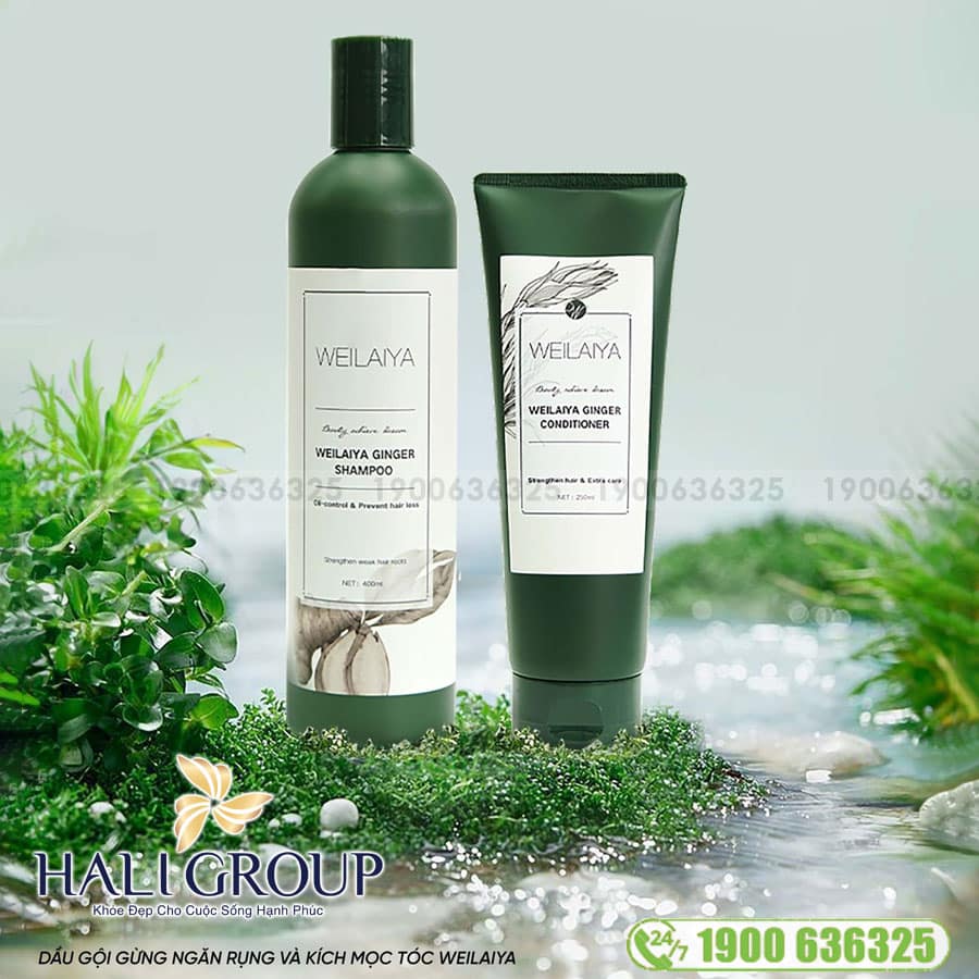 Bộ Dầu Gội Xả Gừng Trắng Weilaiya