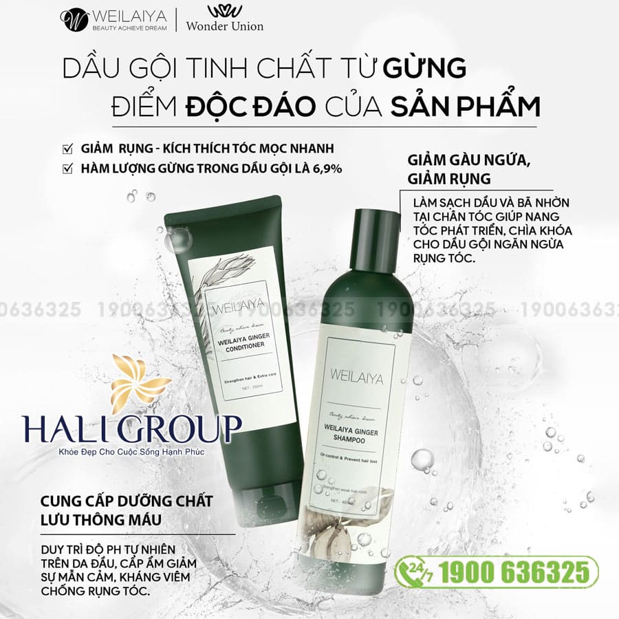 Bộ Dầu Gội Xả Gừng Trắng Weilaiya