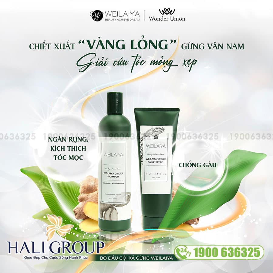 Bộ Dầu Gội Xả Gừng TrắngWeilaiya