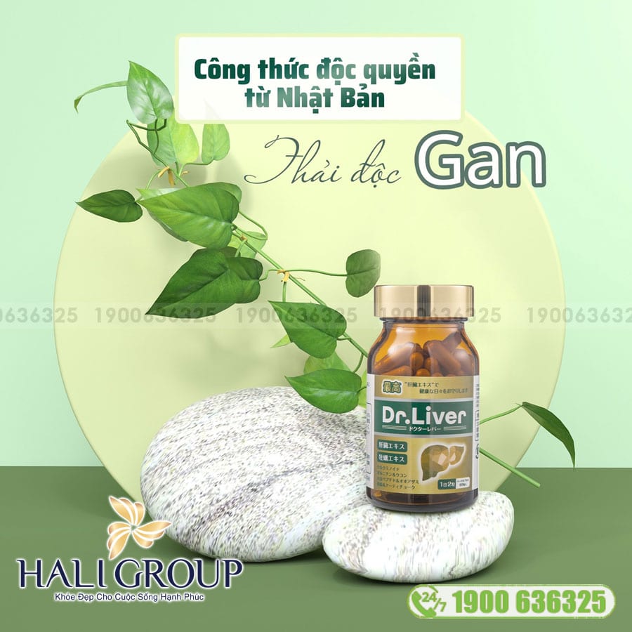 Viên Uống Thải Độc Gan Dr.Liver Jpanwell