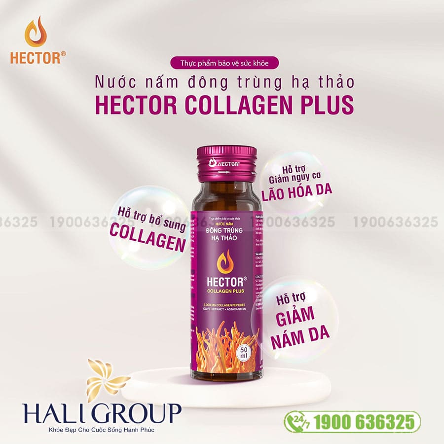 Nước Nấm Đông Trùng Hạ Thảo Hector Collagen Plus