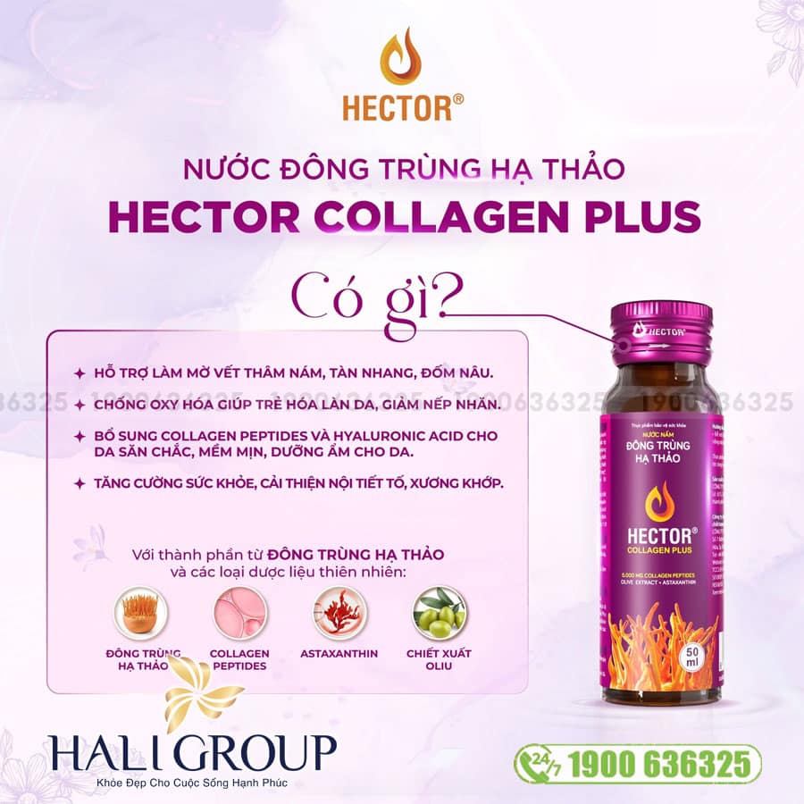 Nước Nấm Đông Trùng Hạ Thảo Hector Collagen Plus