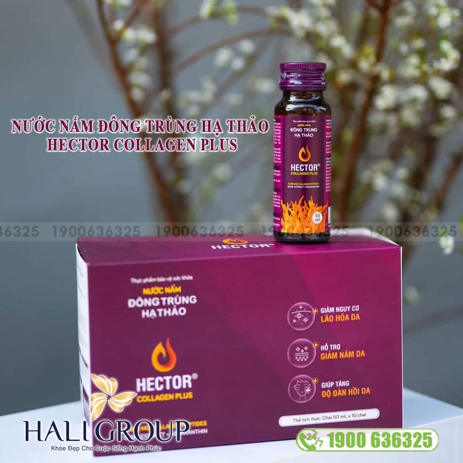 Nước Nấm Đông Trùng Hạ Thảo Hector Collagen Plus