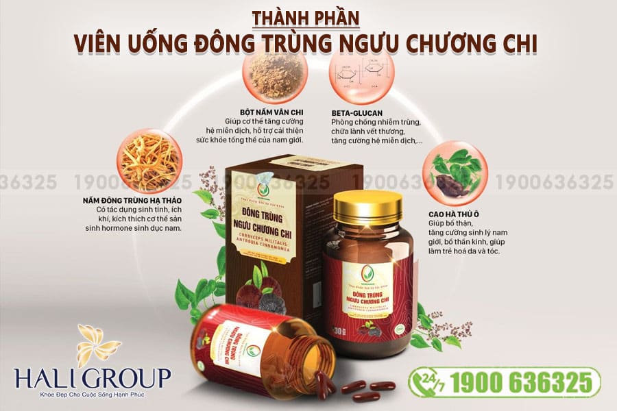 Thành Phần Viên Đông Trùng Ngưu Chương Chi Nature Pharma