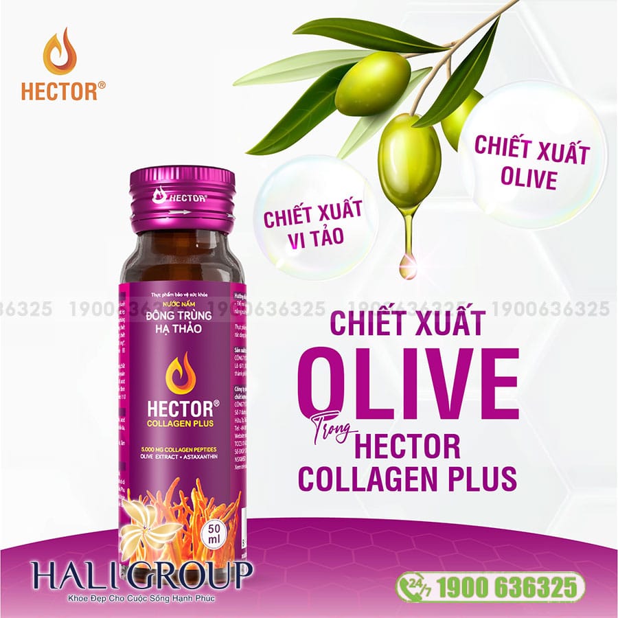 Nước Nấm Đông Trùng Hạ Thảo Hector Collagen Plus