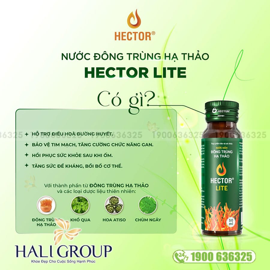 Nước Nấm Đông Trùng Hạ Thảo Hector Lite