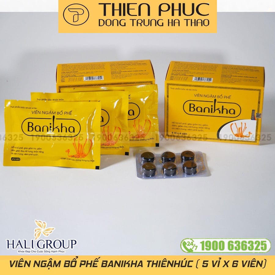 Viên Ngậm Bổ Phế Banikha Thiên Phúc