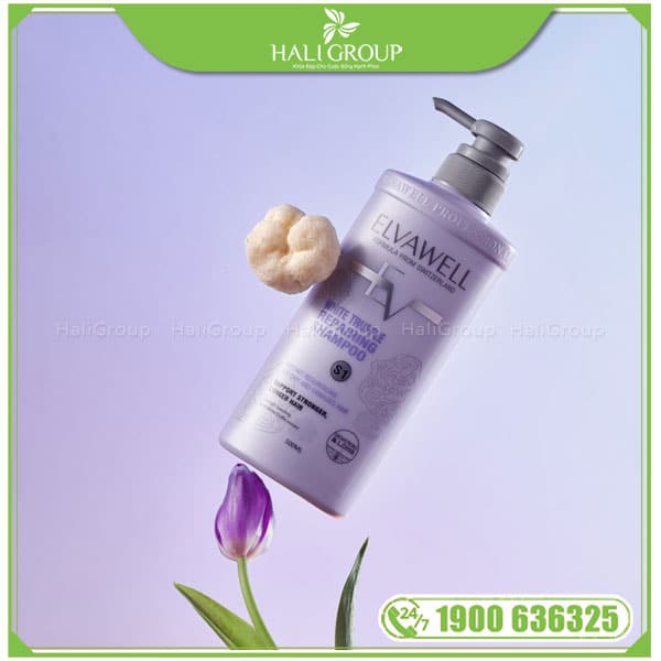 Bộ Dầu Gội Xả Phục Hồi Hư Tổn Siêu Suôn Mượt Elvawell - Ảnh 2