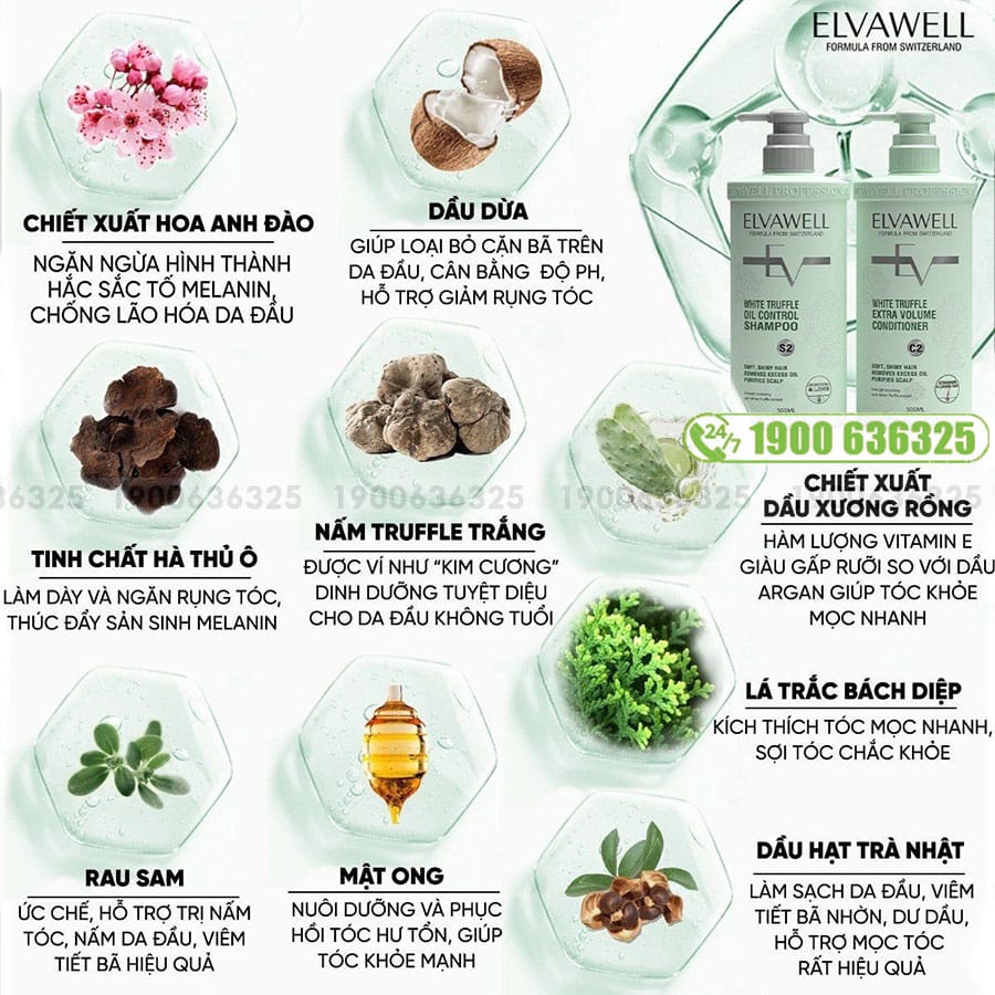 Bộ Dầu Gội Xả Giảm Rụng Tóc Sạch Dầu Bết Elvawell