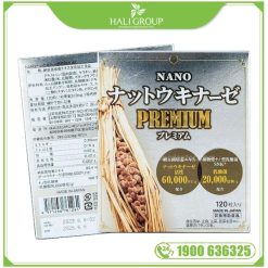 Thực Phẩm Bảo Vệ Sức Khỏe Nano Nattokinase Premium Nichiei Bussan