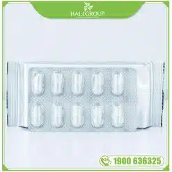 Thực Phẩm Bảo Vệ Sức Khỏe Nano Nattokinase Premium Nichiei Bussan